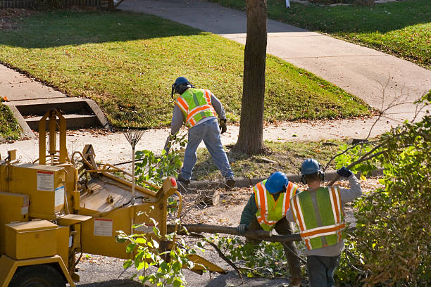 Best Lawn Drainage Solutions  in West Point, NY